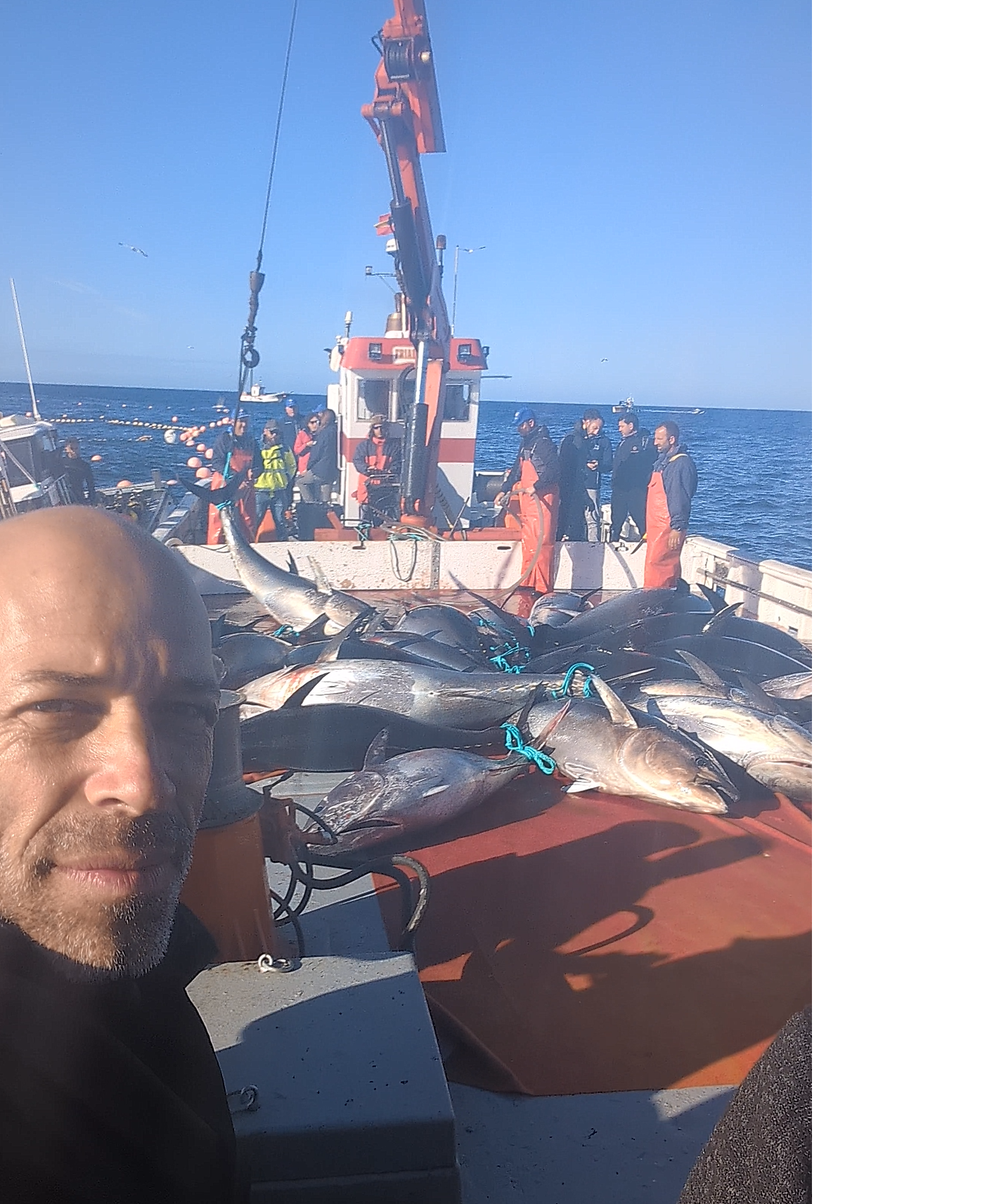 Faena de almadraba – captura de atún rojo en el Mediterráneo